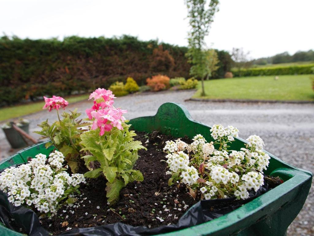 Dun Cromain B&B Banagher Exteriér fotografie